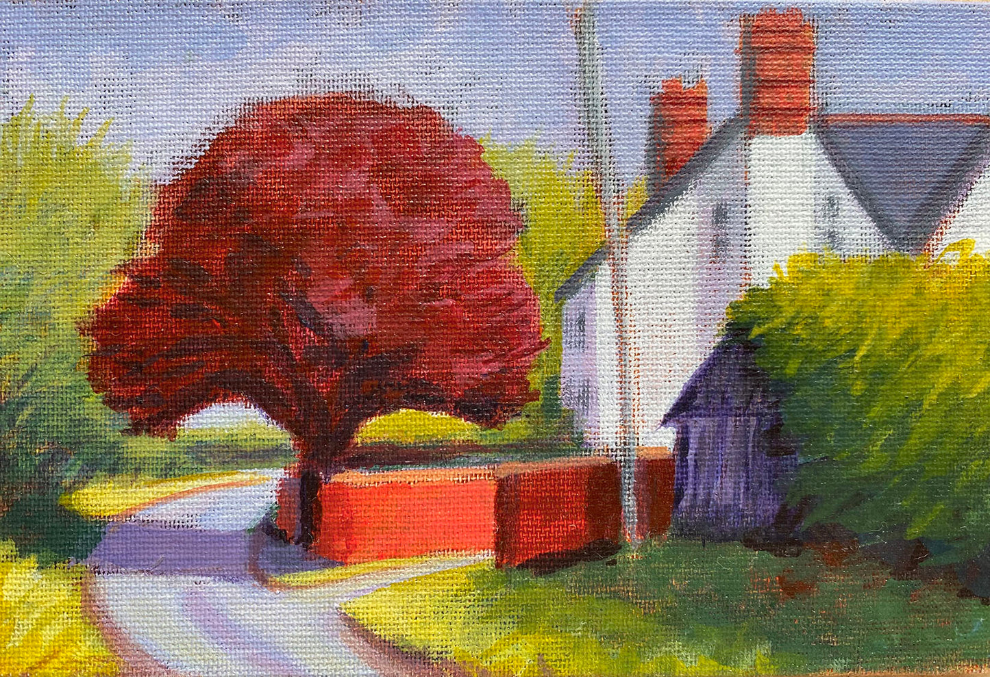 Copper Beech, Cantlop Grange