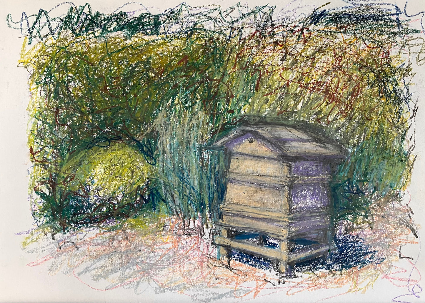 Greetings Cards Pack - Wildegoose Nursery 1