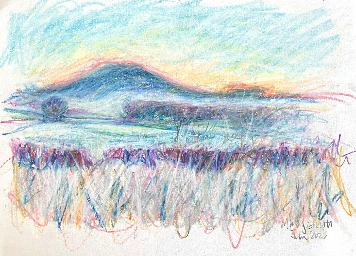 Frosty garden and Wrekin