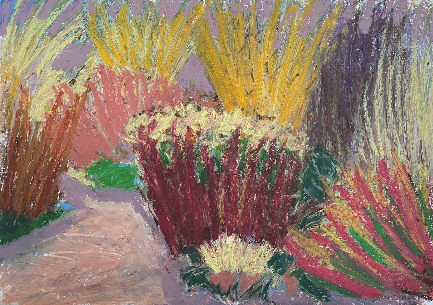 Garden Fireworks