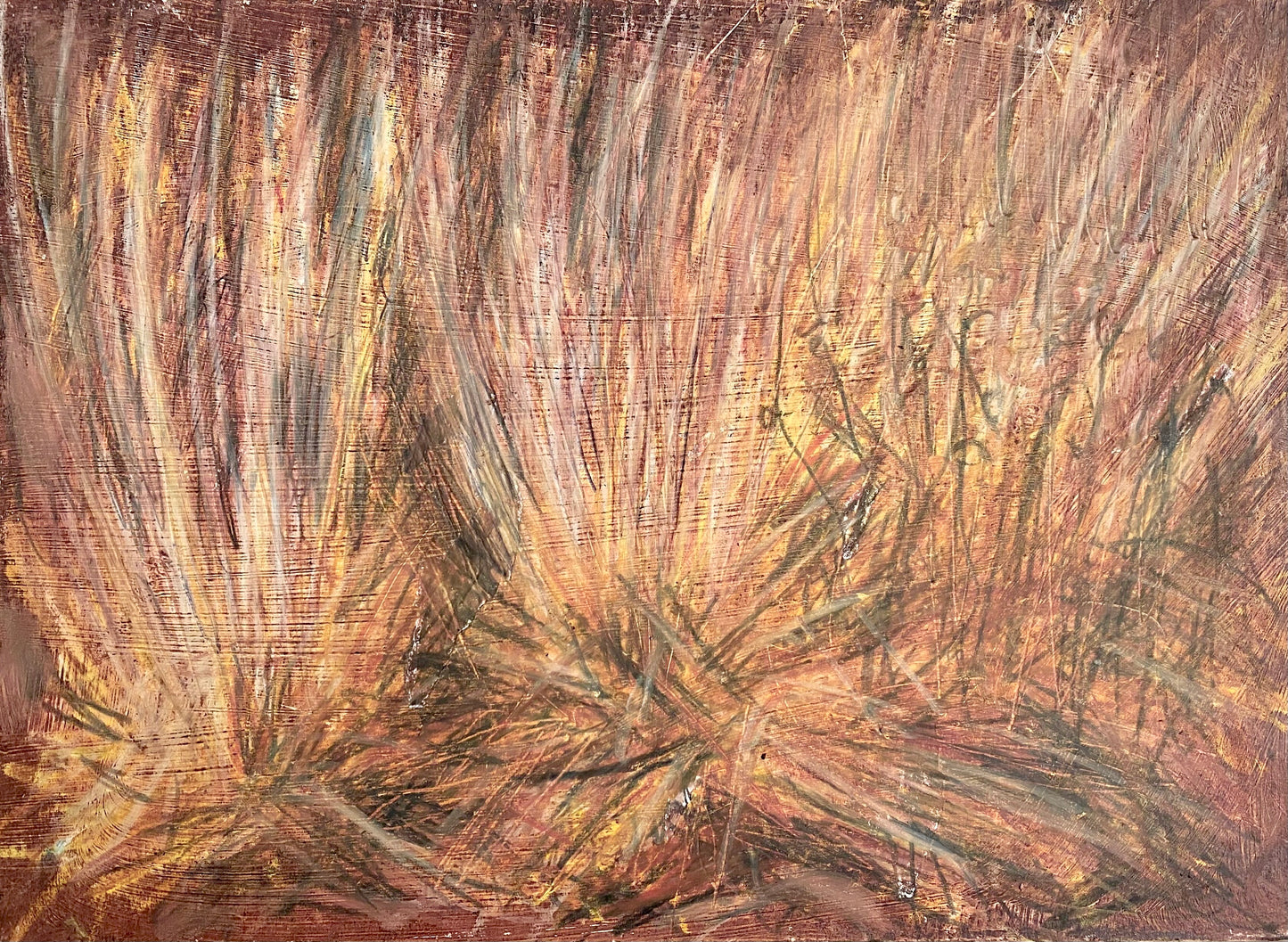 Grasses in the Garden