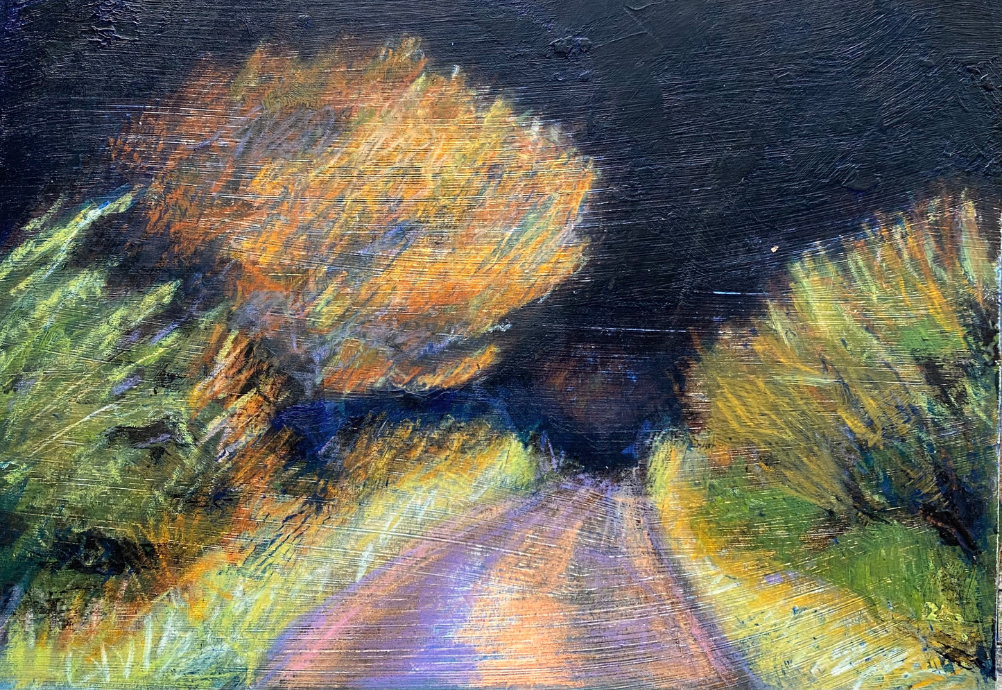 Headlights, late Summer