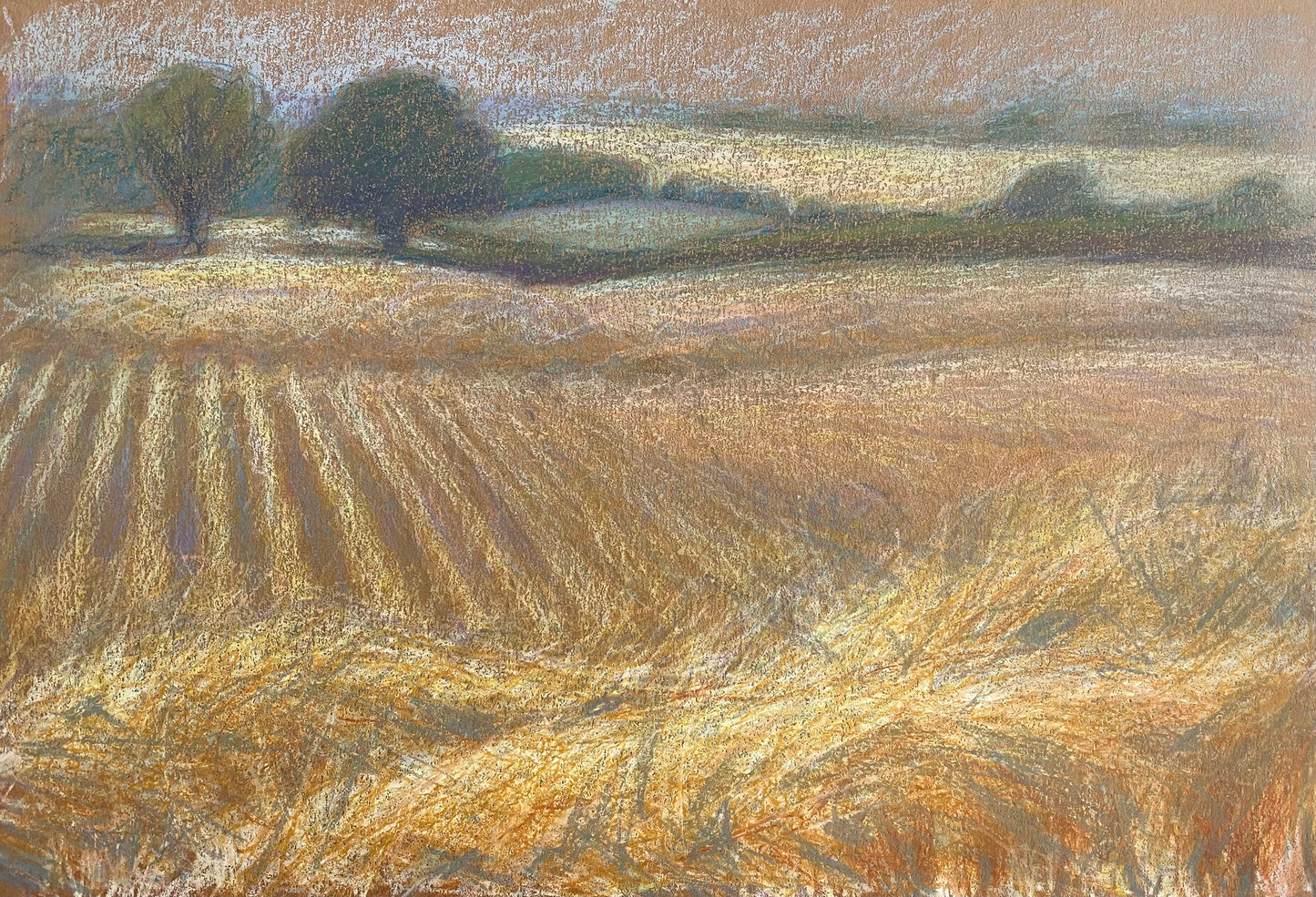 Misty Morning in the Stubble