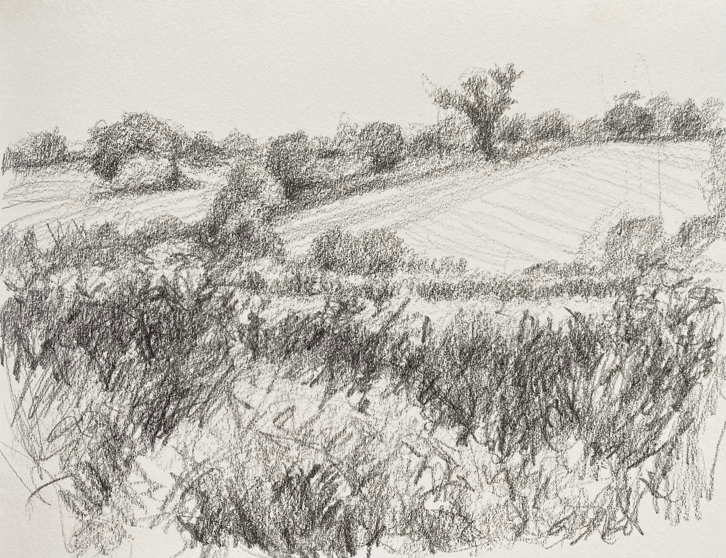 Mill Lane
