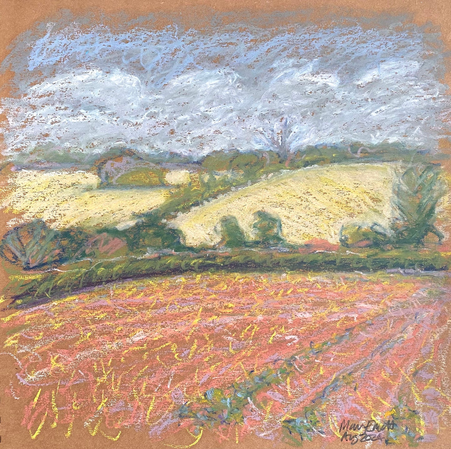 The Potato Field