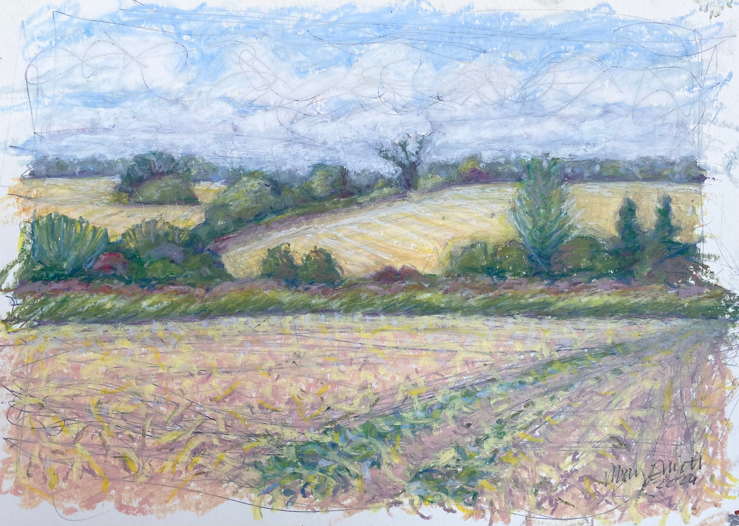 The Potato Field