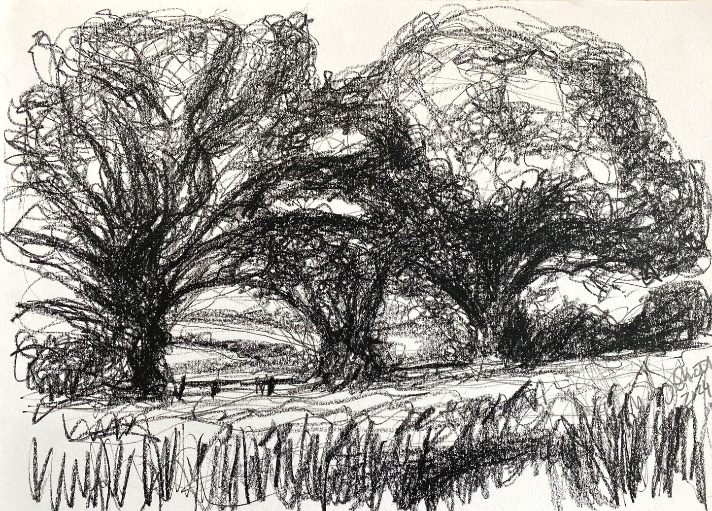 Trees on the boundary