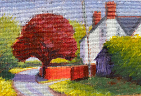 Copper Beech, Cantlop Grange