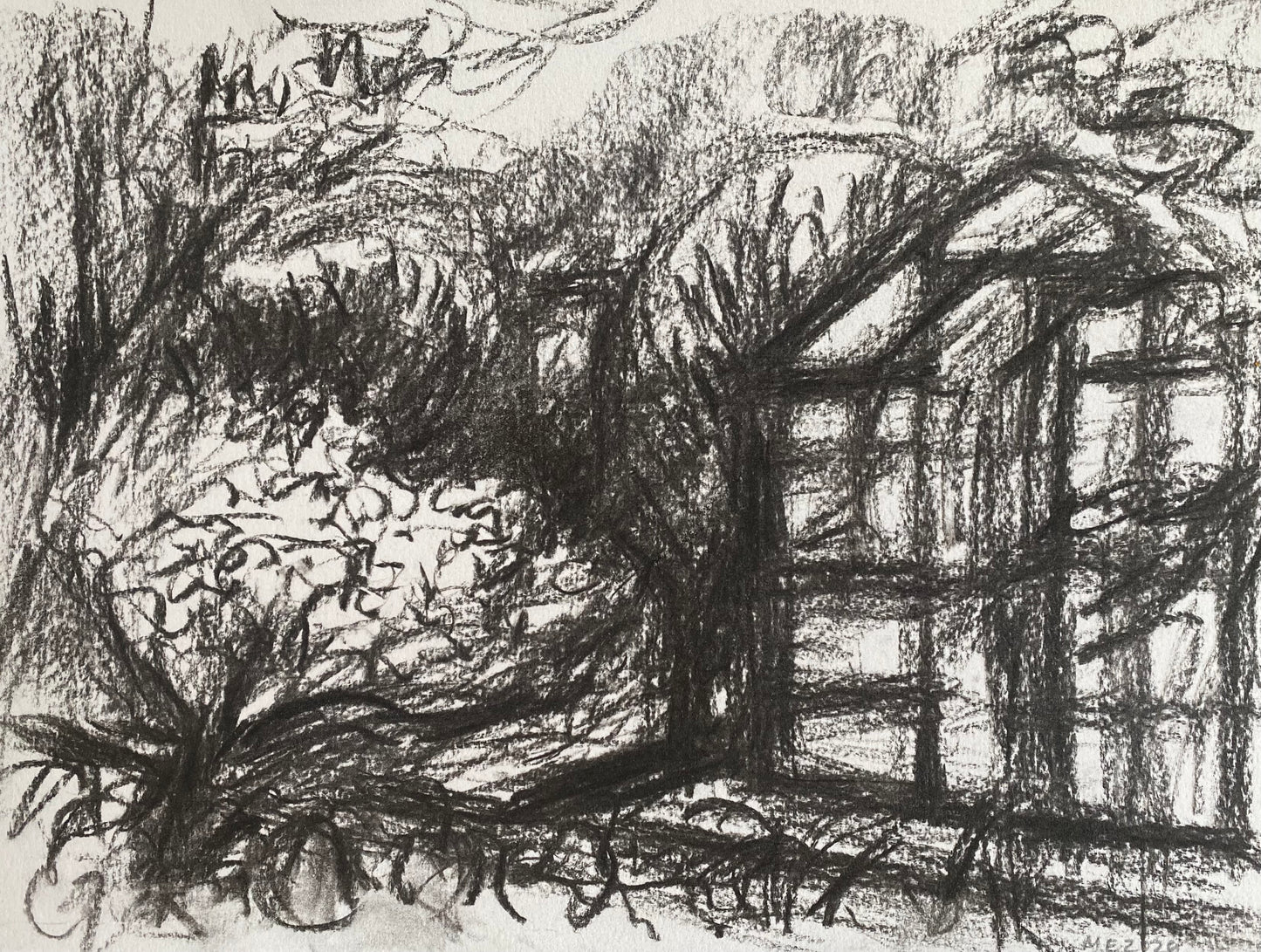 Greenhouse and Shrub