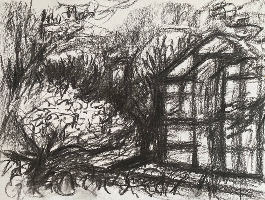 Greenhouse and Shrub