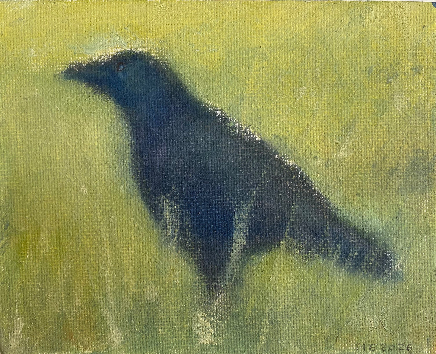 Dulwich Park Crow