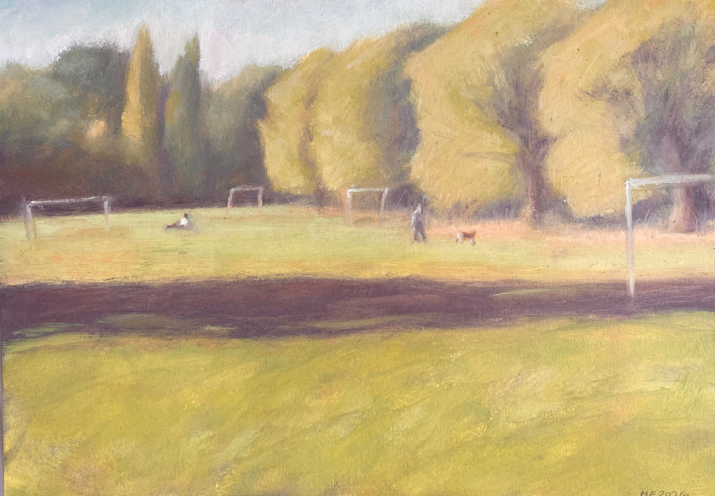 Dulwich Park - Football Pitches