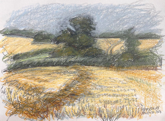 Late Afternoon in Pound Meadow