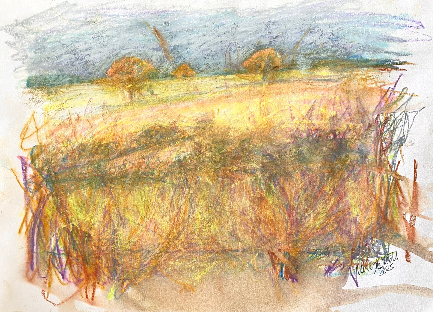Looking across the Cound Brook