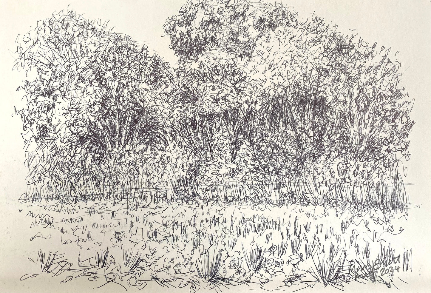 Sitting in Pound Meadow