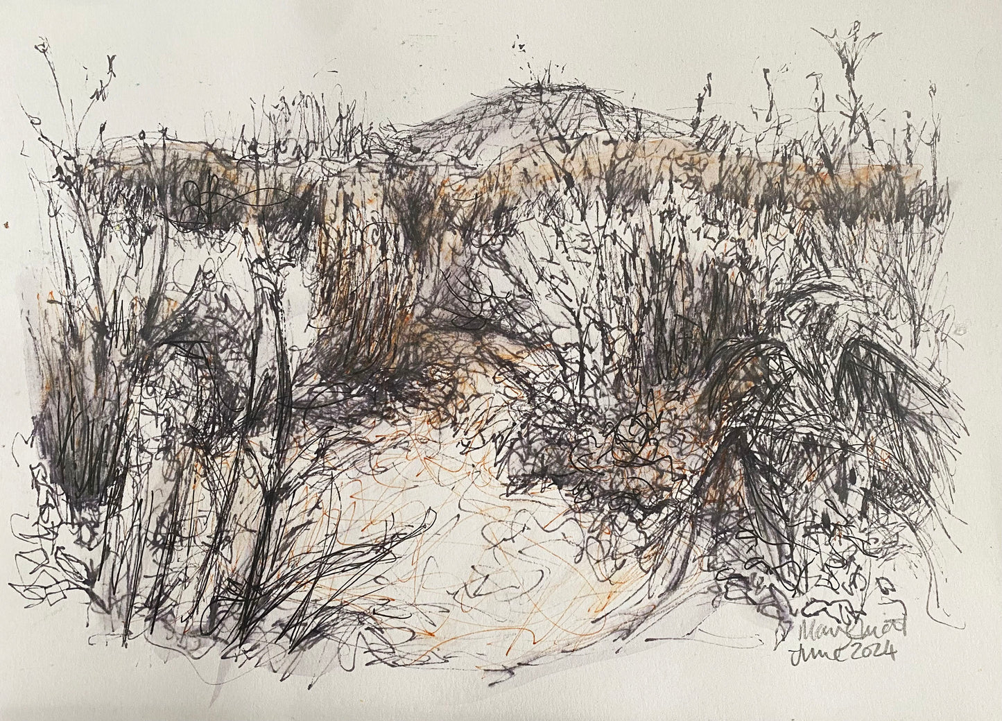 The Wrekin and the Garden