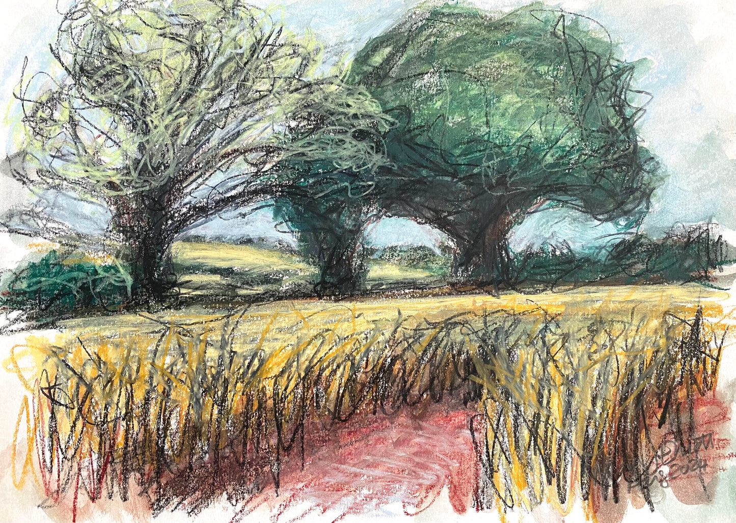The boundary between Gorsty Furlong and Barley Meadow