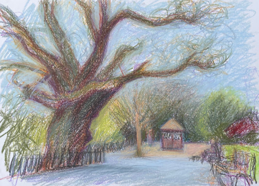 Tree by The Lake