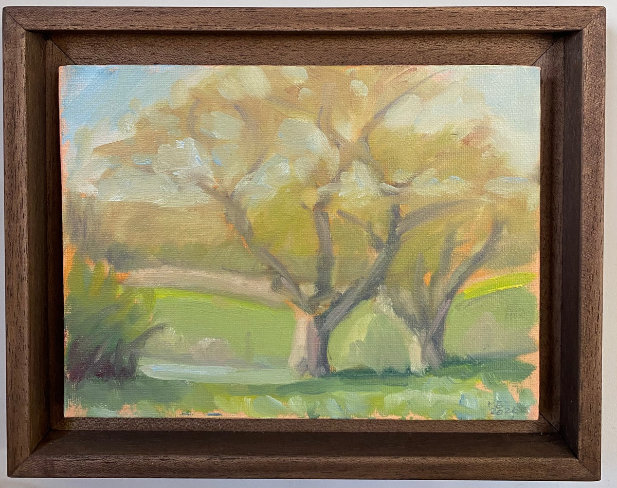 Two Oak Trees
