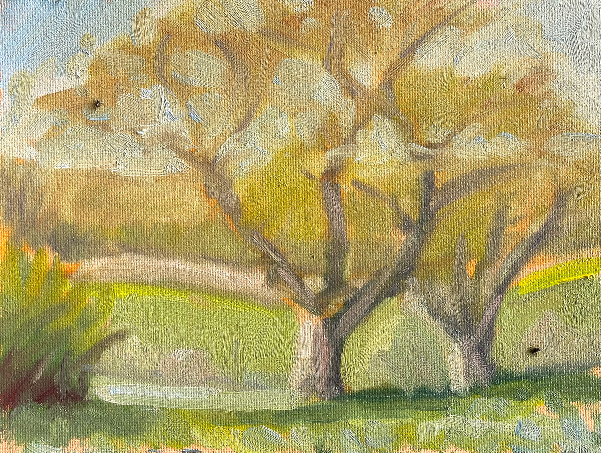 Two Oak Trees