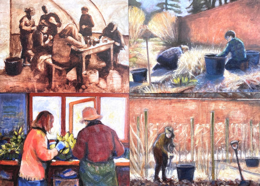 Greetings Card Pack - Wildegoose Nursery 2