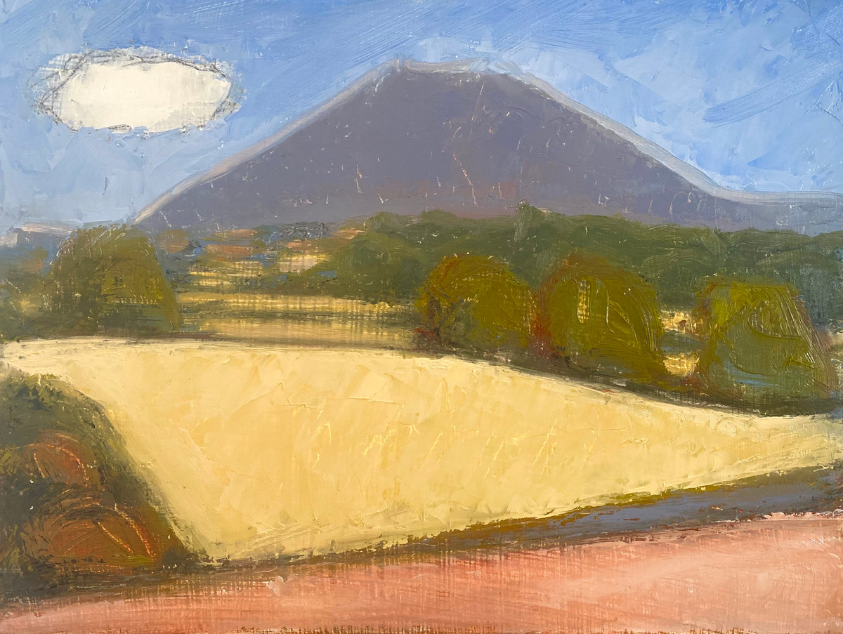 Small cloud and The Wrekin